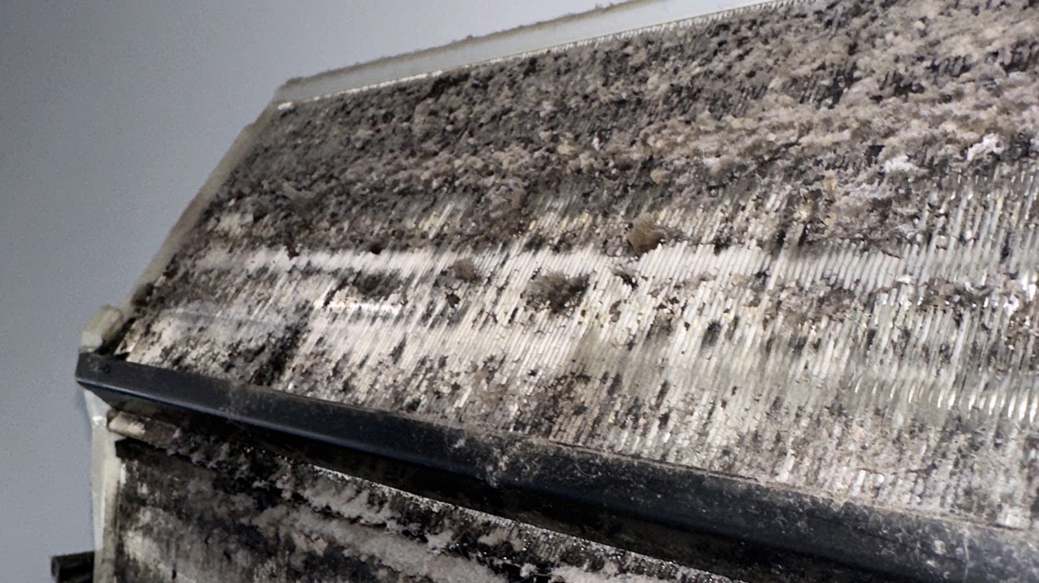 Dirty internal coil of a split system before a deep clean